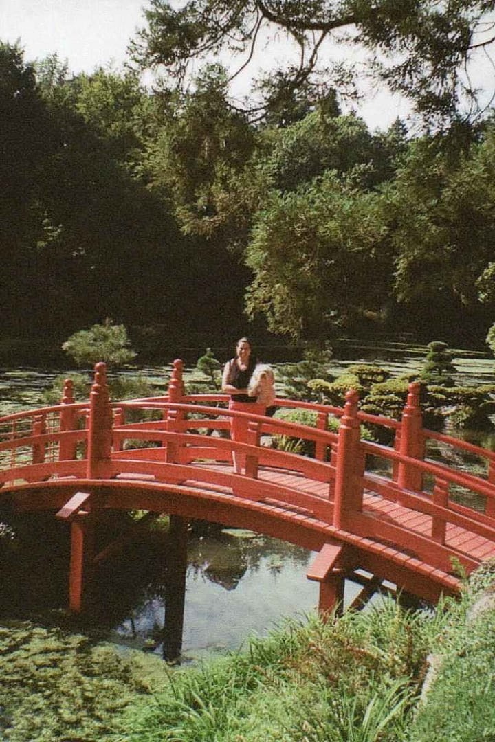 chien de race bichon havanais dans les bras de sa maitresse posant sur le pont rouge du parc oriental de Maulévrier lors de ses vacances dans le Maine et Loire