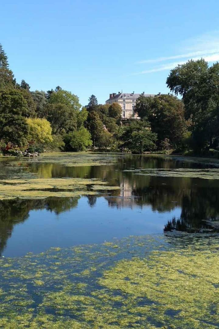 Vue sur le lac au milieu d'arbres verdoyants et le restaurant
