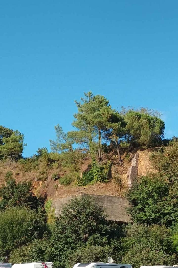 Balades & Randonnées avec son chien :