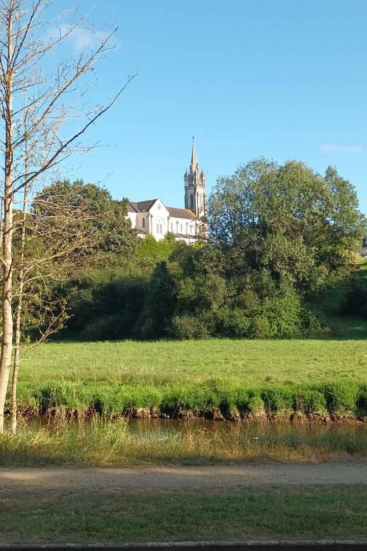 Balades & Randonnées avec son chien :