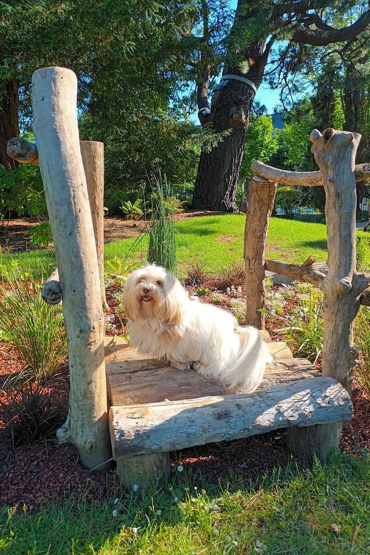 Parcs et Jardins avec son chien