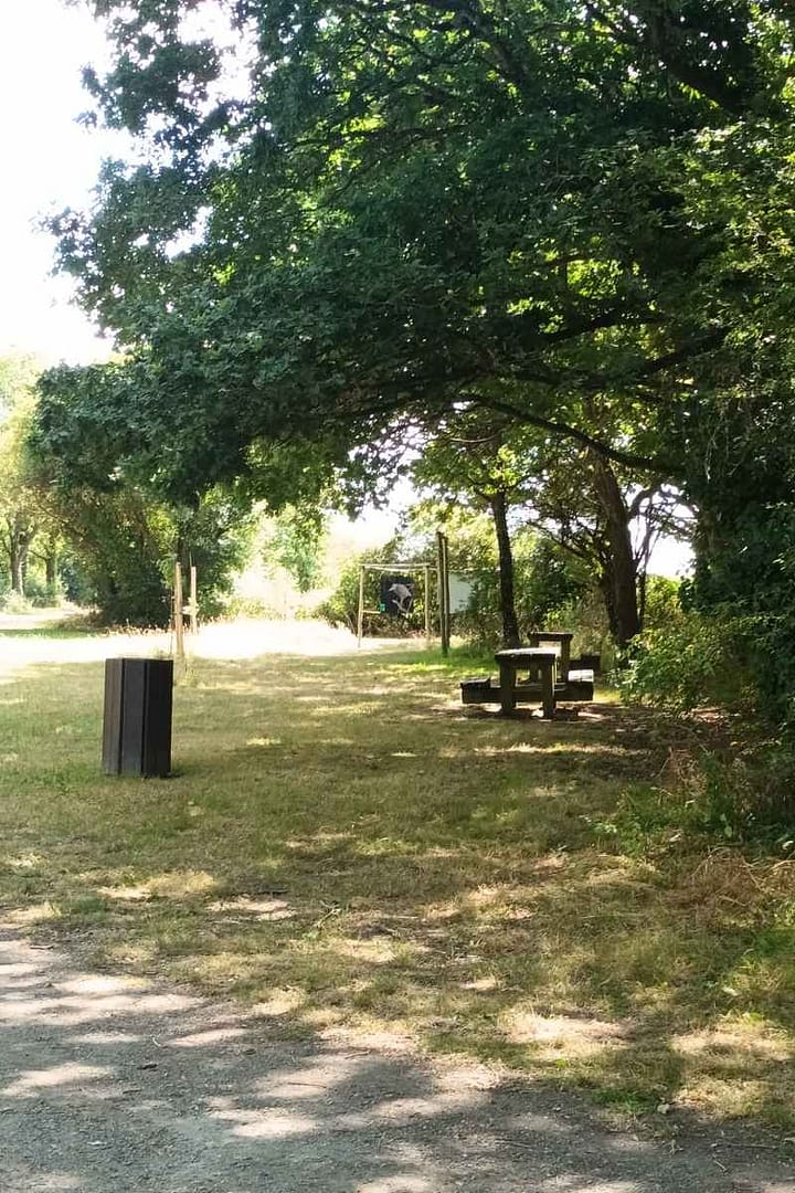 Balades & Randonnées avec son chien :