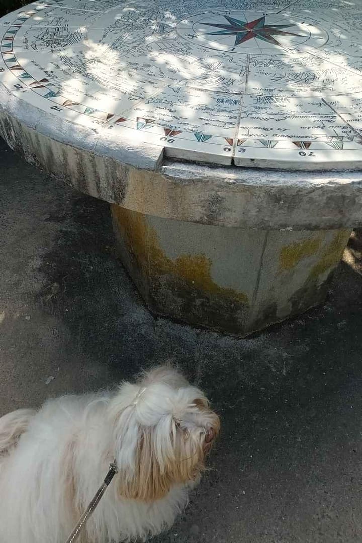 Balades & Randonnées avec son chien :