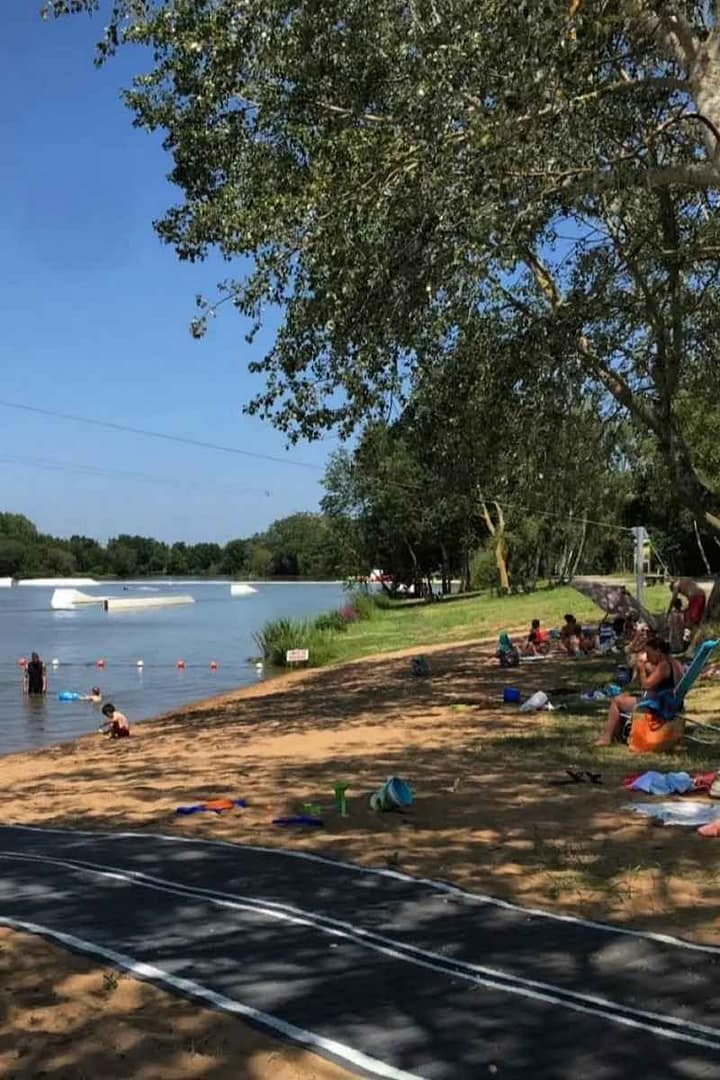 Balades & Randonnées avec son chien :