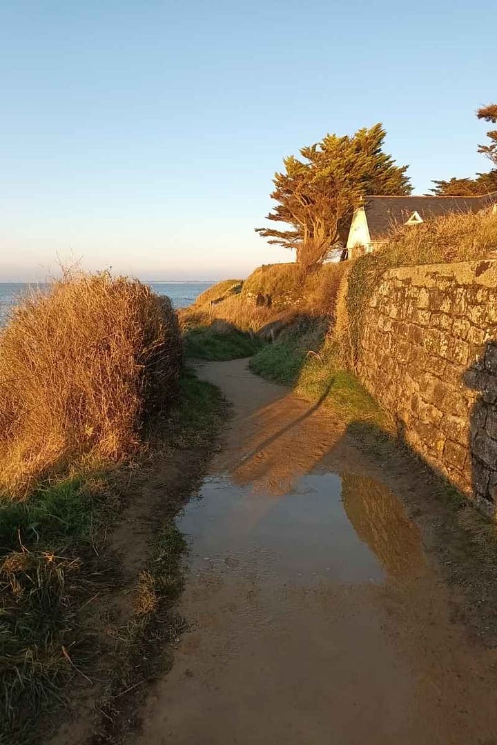 Balades & Randonnées avec son chien :