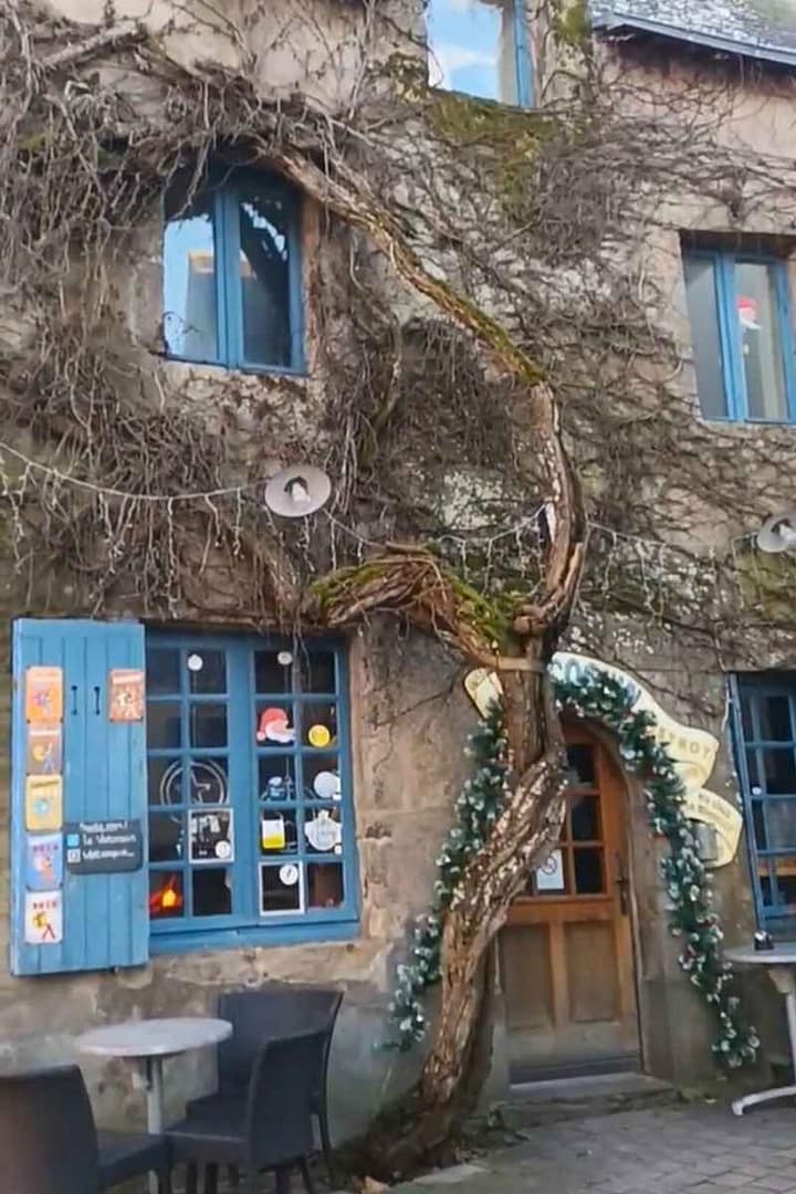 Balades & Randonnées avec son chien : façade d'un établisssement aux fenêtres et volets bleus dont le mur est recouvert de lierre