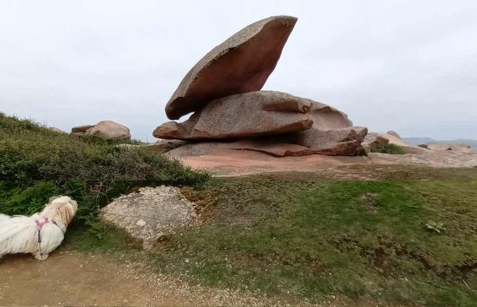Balades & Randonnées avec son chien : Chien en randonnée sur le GR34, côte de Granit Rose
