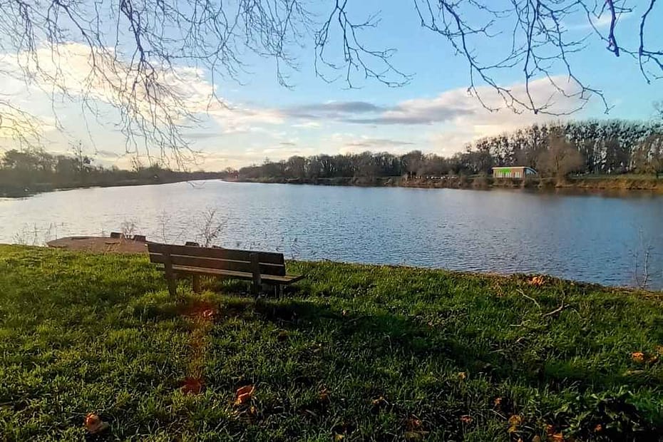 Balades & Randonnées avec son chien :
