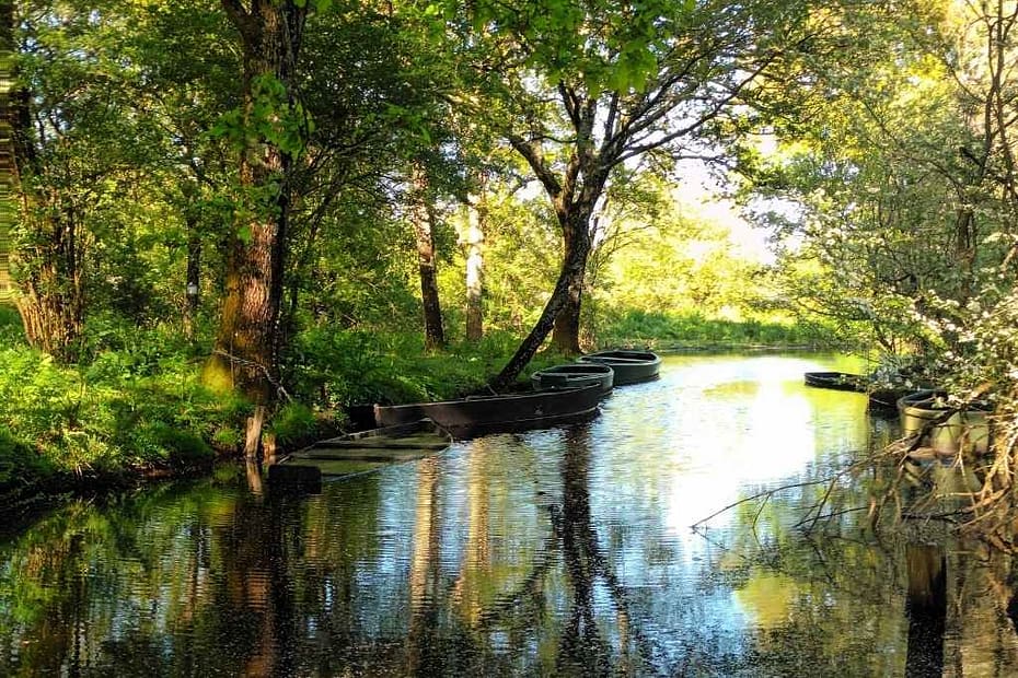 vue d'un paysage typique de Brière à Bréca, des chalands parqués dans un étier