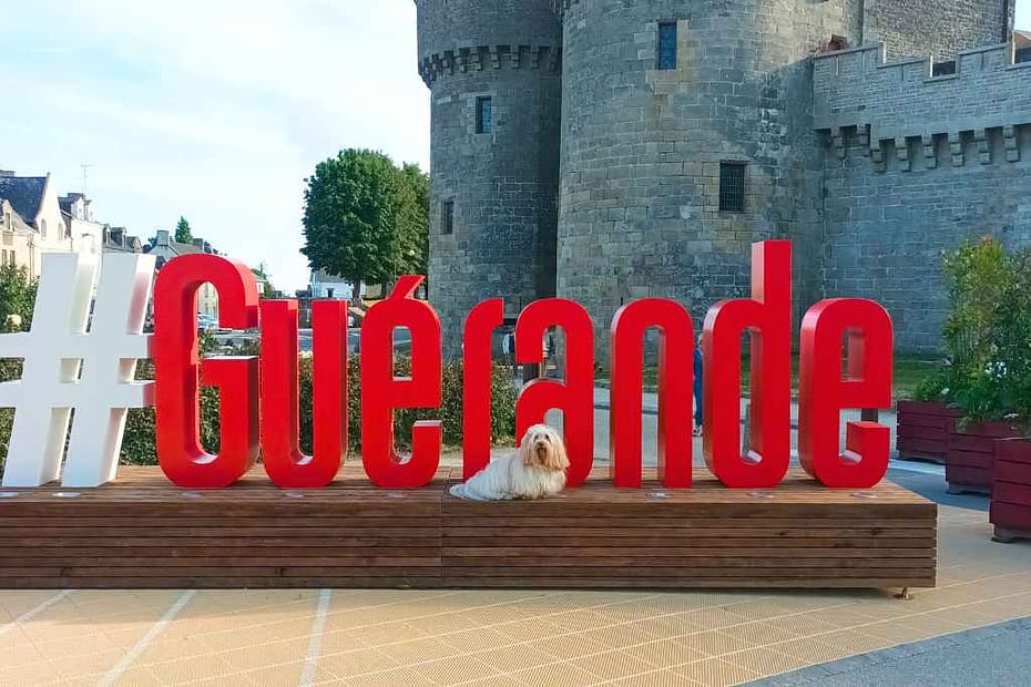 Inspirations & Séjours avec son chien : bichon havanais assis devant les lettres guérande situé devant la porte Saint-Michel de Guérande en Loire-Atlantique