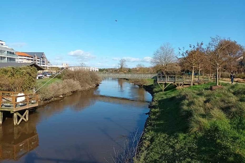 Parcs et Jardins avec son chien : vue d'un belvédère sur le sentier du jardin botanique de la ria et ses passerelles à Pornic