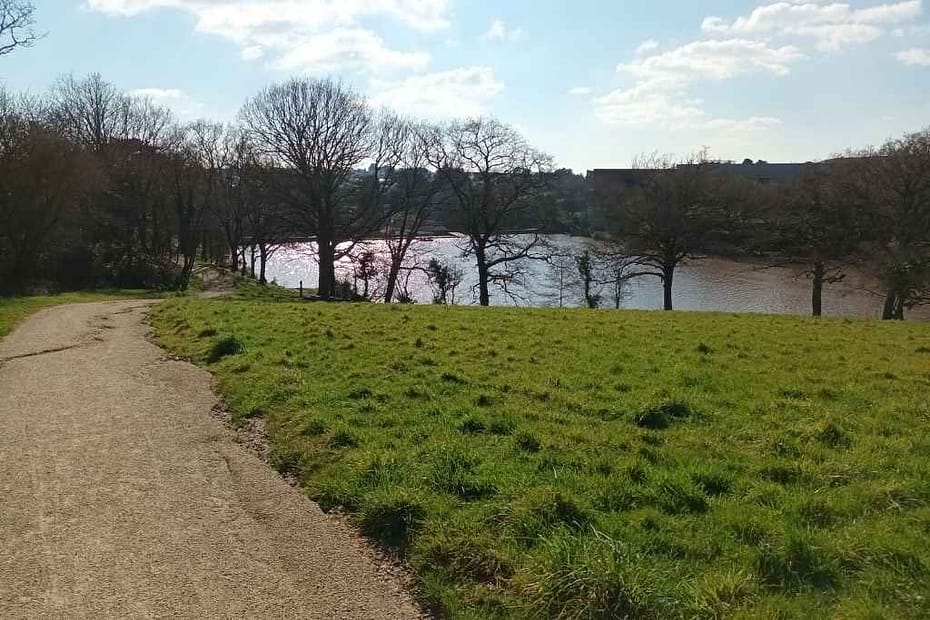 Balades & Randonnées avec son chien : vue sur l'étang du val Saint-Martin à Pornic, le départ de notre balade chien