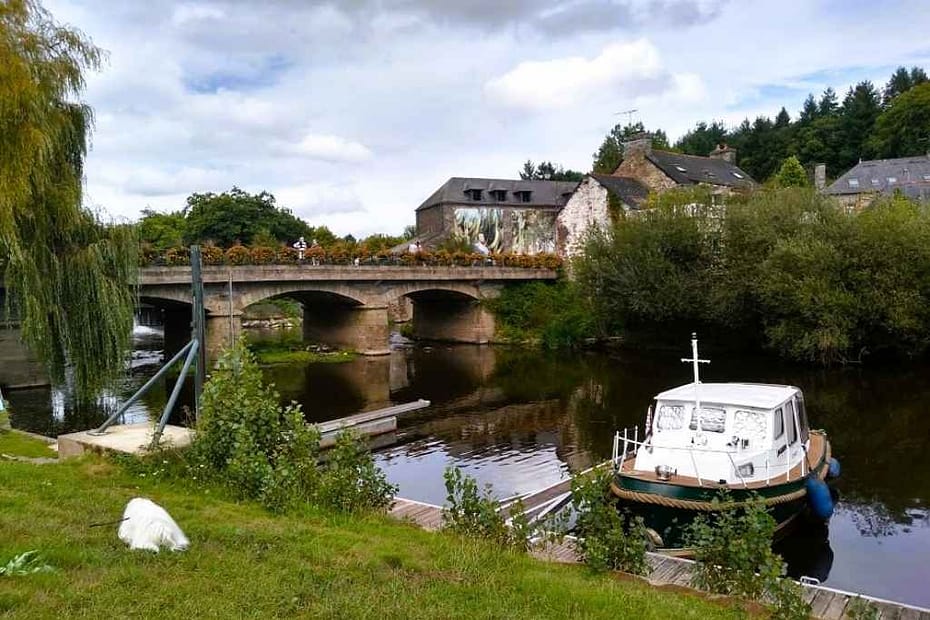 Escapades au-delà de la Loire-Atlantique : bichon havanais au bord de l'eau en direction du festival photo de la gacilly