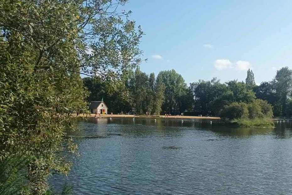 Balades & Randonnées avec son chien : vue sur l'étang des Brières du Bourg à Saint-Lyphard et sa plage